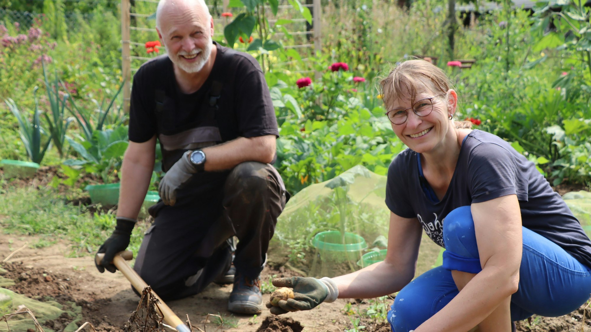 Gemeinsam ernten Elke und Elmar Oberdörffer auch die Kartoffeln und freuen sich über die üppige Ernte.