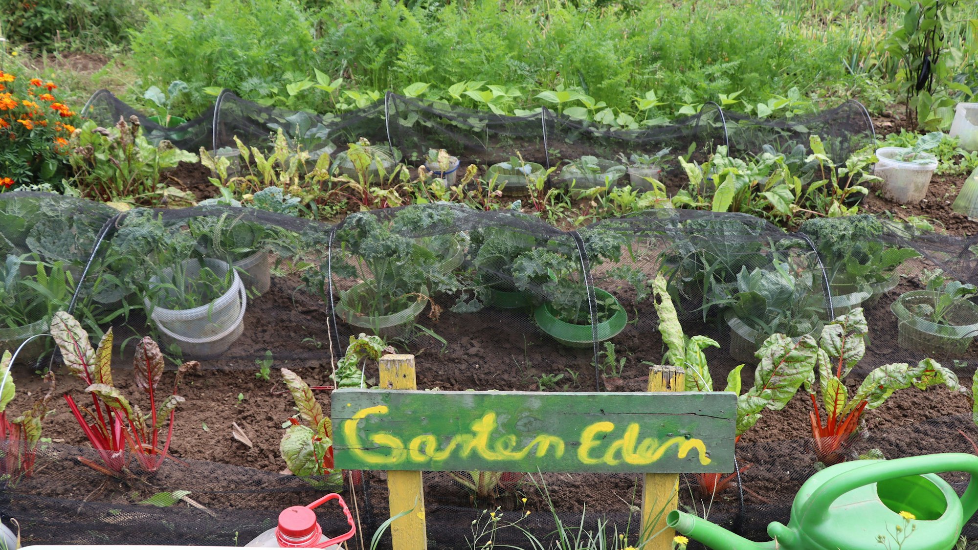 Auf einem Holzschild steht „Garten Eden“ geschrieben.