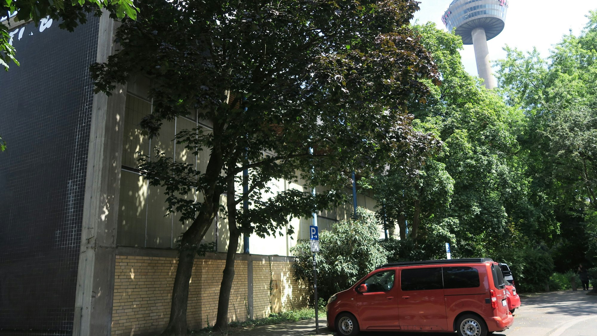 Versteckt hinter Bäumen und Büschen: die Sporthalle Everhardstraße.