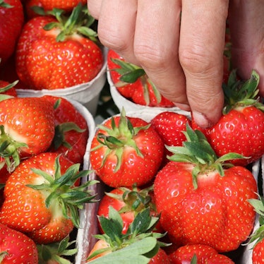Ein Mann greift in eine Schale mit Erdbeeren (Symbolbild)