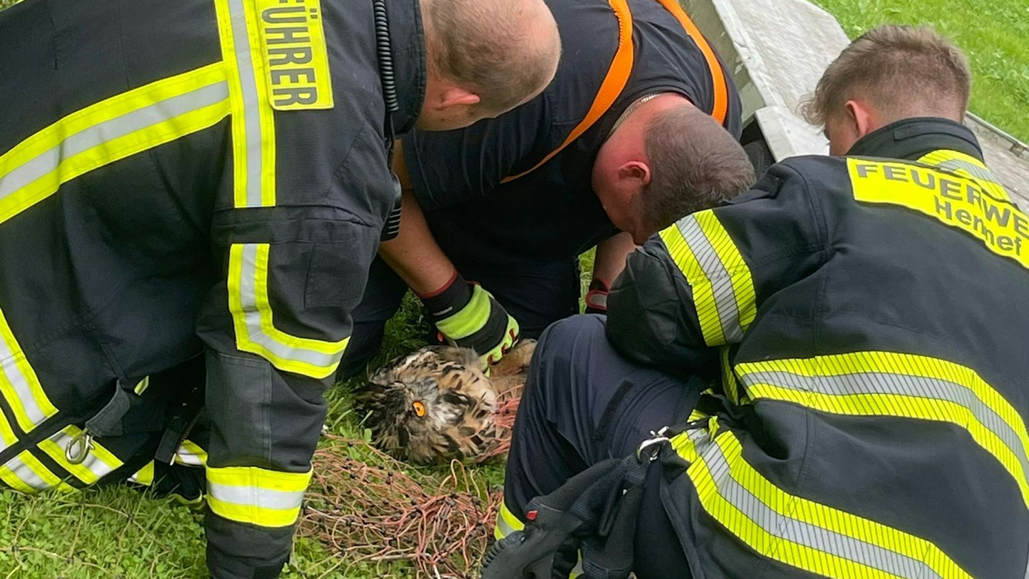 Eine Uhu retteten fünf Mitglieder der Hennefer Feuerwehr.