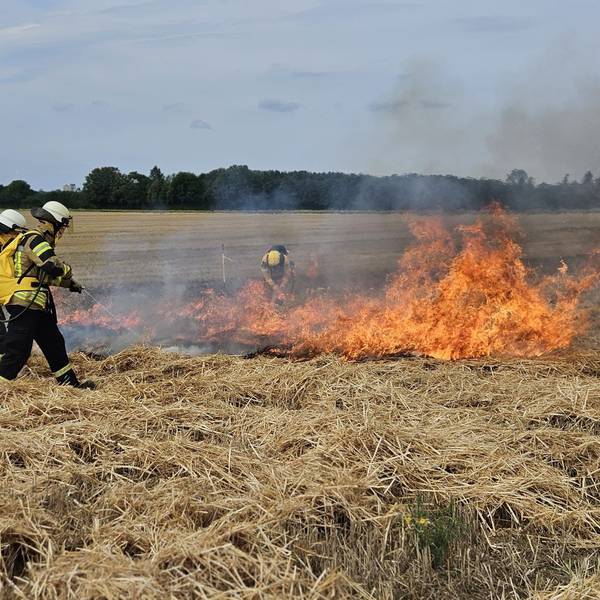 Feuerwehrleute stehen auf einem Strohfeld und löschen die Flammen eines Brandes.