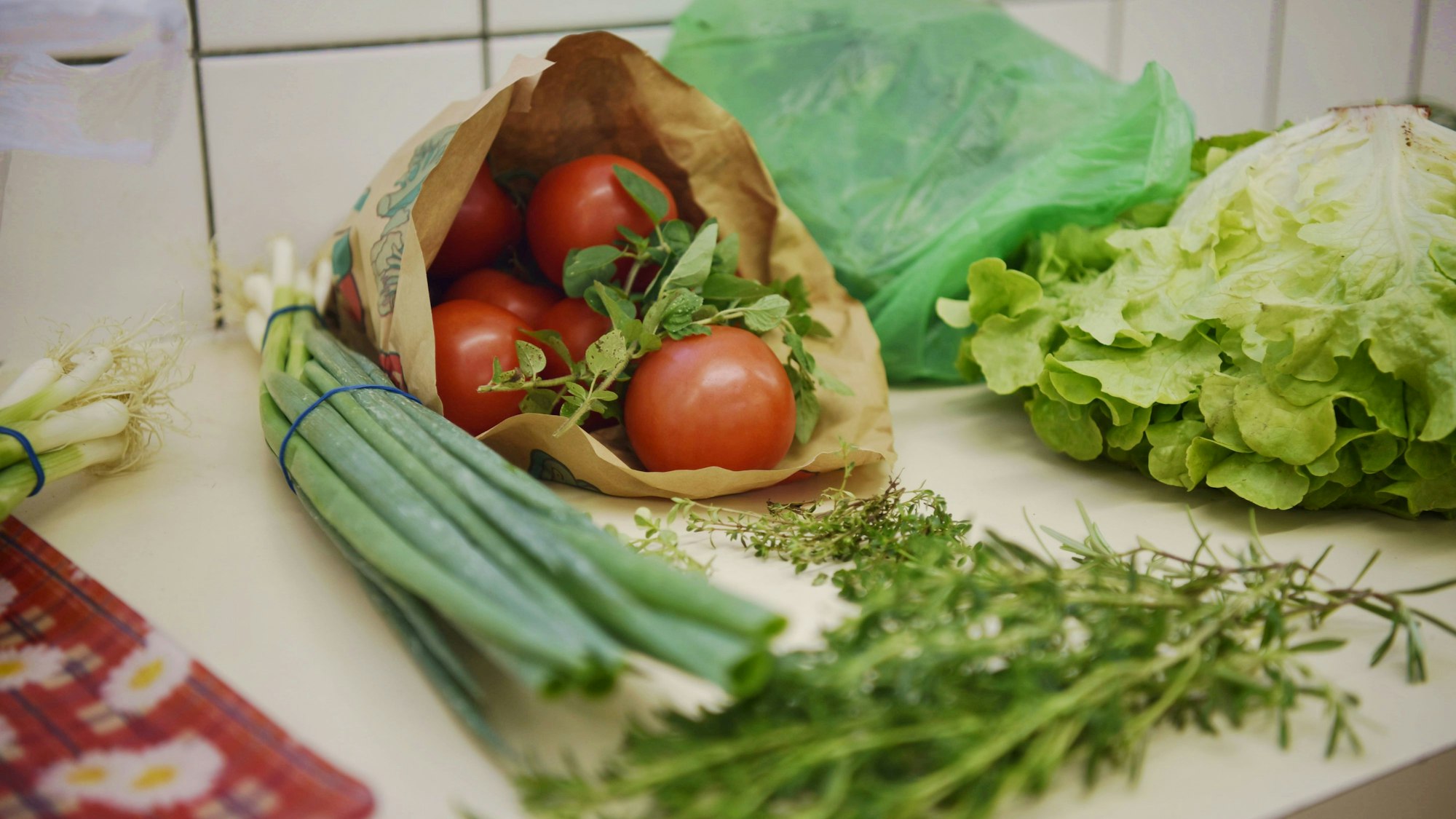 Auf einer Küchenablage liegen Tomaten in einer Papiertüte, ein Bund Frühlingszwiebeln, ein Salatkopf und Kräuter.