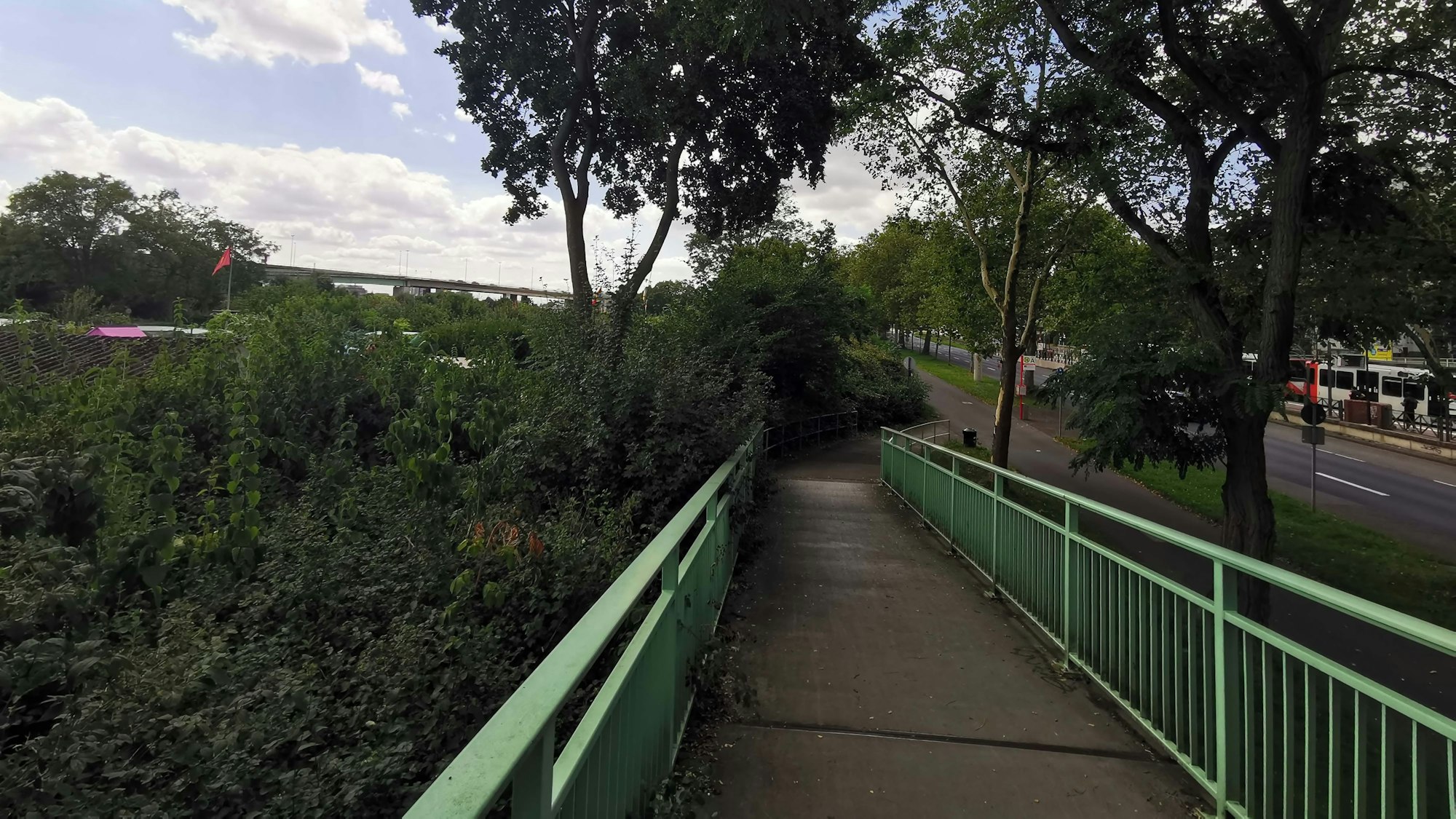 Kleingärten am Pfälzischen Ring in Köln.