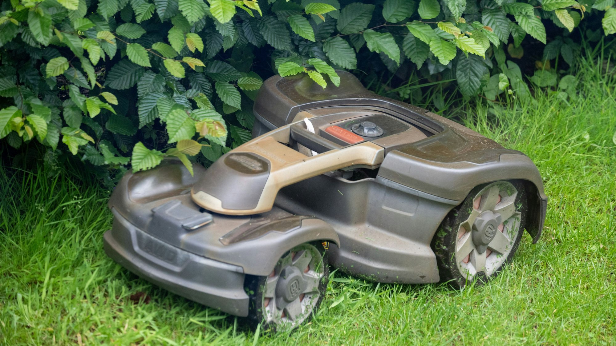 Ein Mähroboter mäht Gras in einem Garten.
