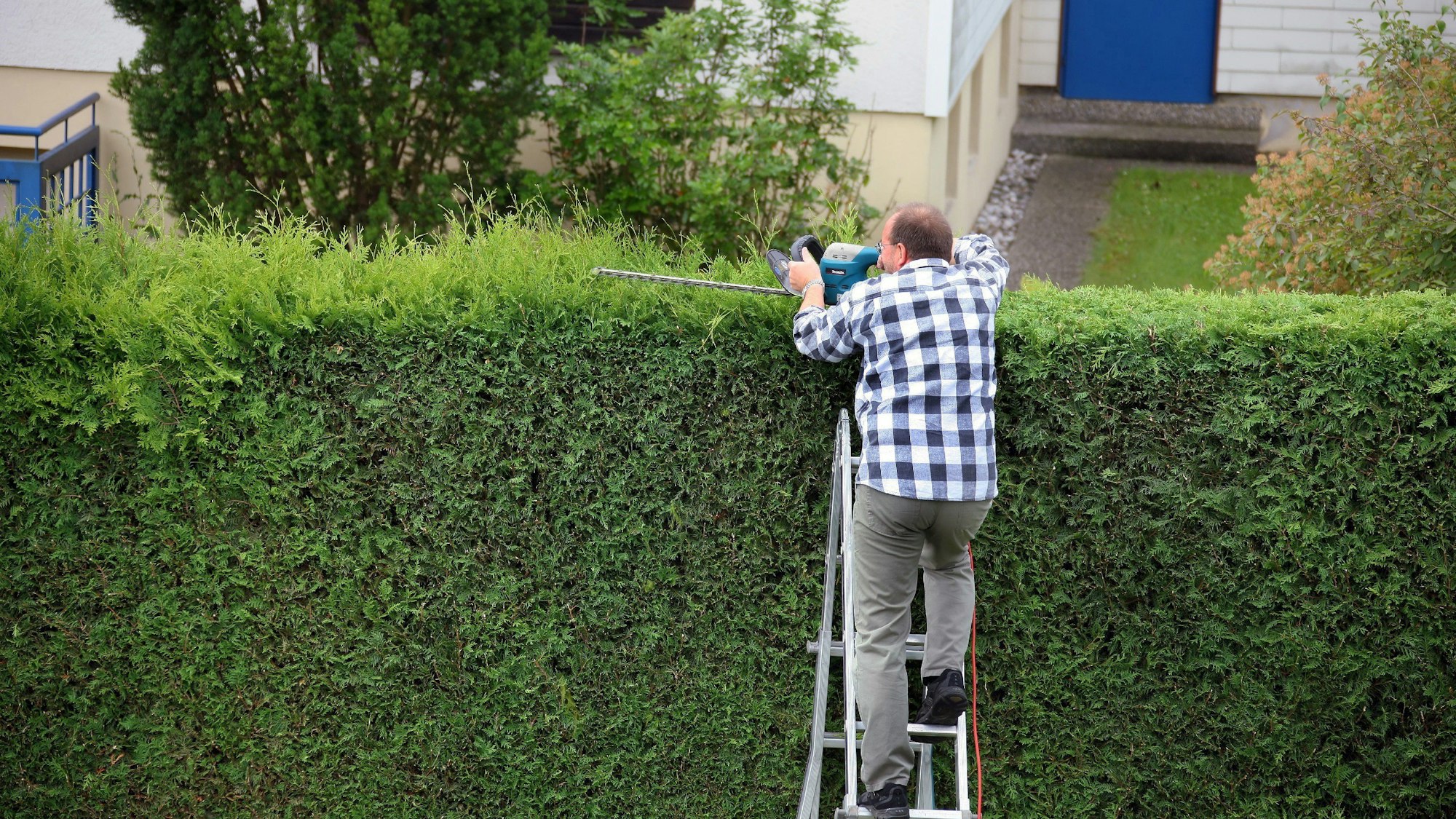 Ein Mann schneidet eine Hecke im Garten. (Symbolbild)