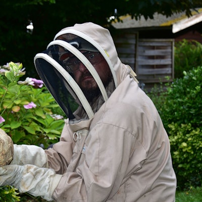 Das Nest wurde aus dem Strauch entfernt.