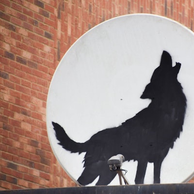 Der britische Künstler Banksy hat ein neues Kunstwerk enthüllt, das einen heulenden Wolf zeigt. Es wurde auf eine Satellitenschüssel gemalt, die auf dem Dach eines Geschäfts in Peckham im Süden Londons angebracht ist.