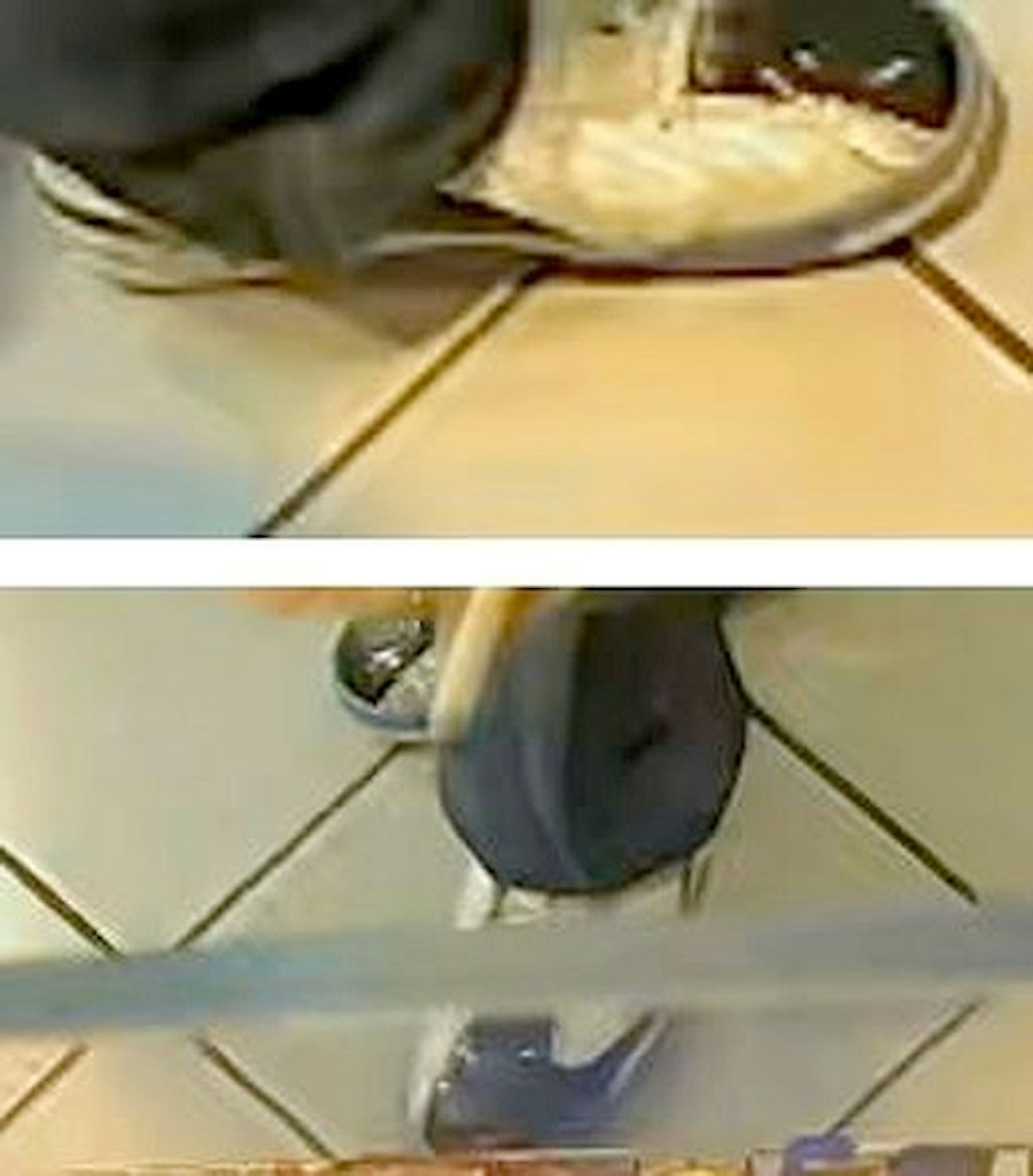 Das Bild zeigt die Schuhe einer unbekannten Person.