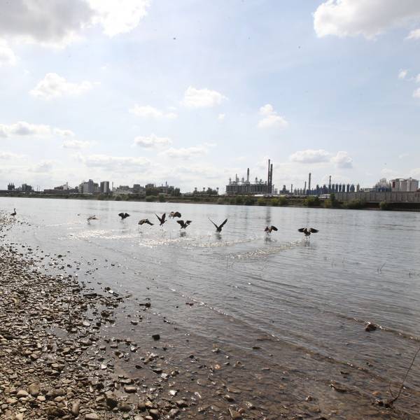 Der tiefste Punkt im rhein-Sieg-Kreis befindet sich in Lülsdorf am Rhein. Am rheinbogen kurz vor der Kreisgrenze und nur ein paar Meter entfernt von Köln-Langel mit 43 Metern über dem Meeresboden.