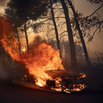 Ein Auto brennt während eines Waldbrandes im Dorf Varnava.