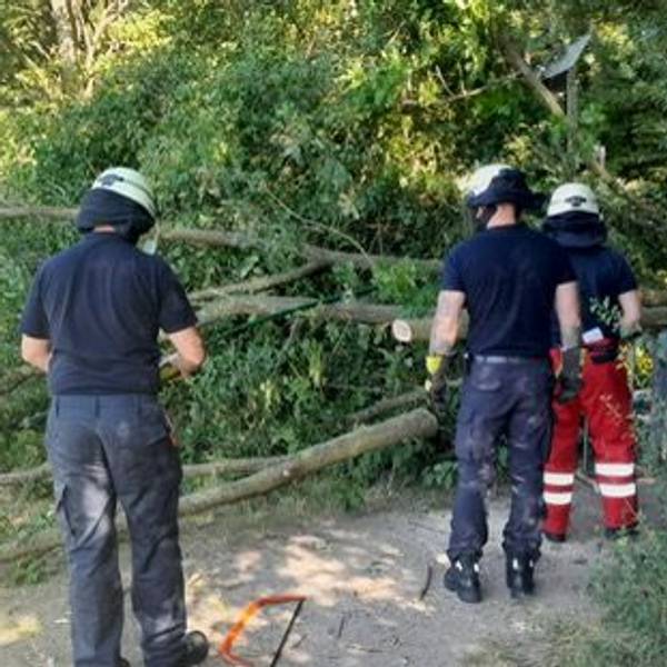 Einsatzkräfte der Feuerwehr zersägen den Baum, der quer über dem Weg liegt.