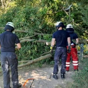Einsatzkräfte der Feuerwehr zersägen den Baum, der quer über dem Weg liegt.
