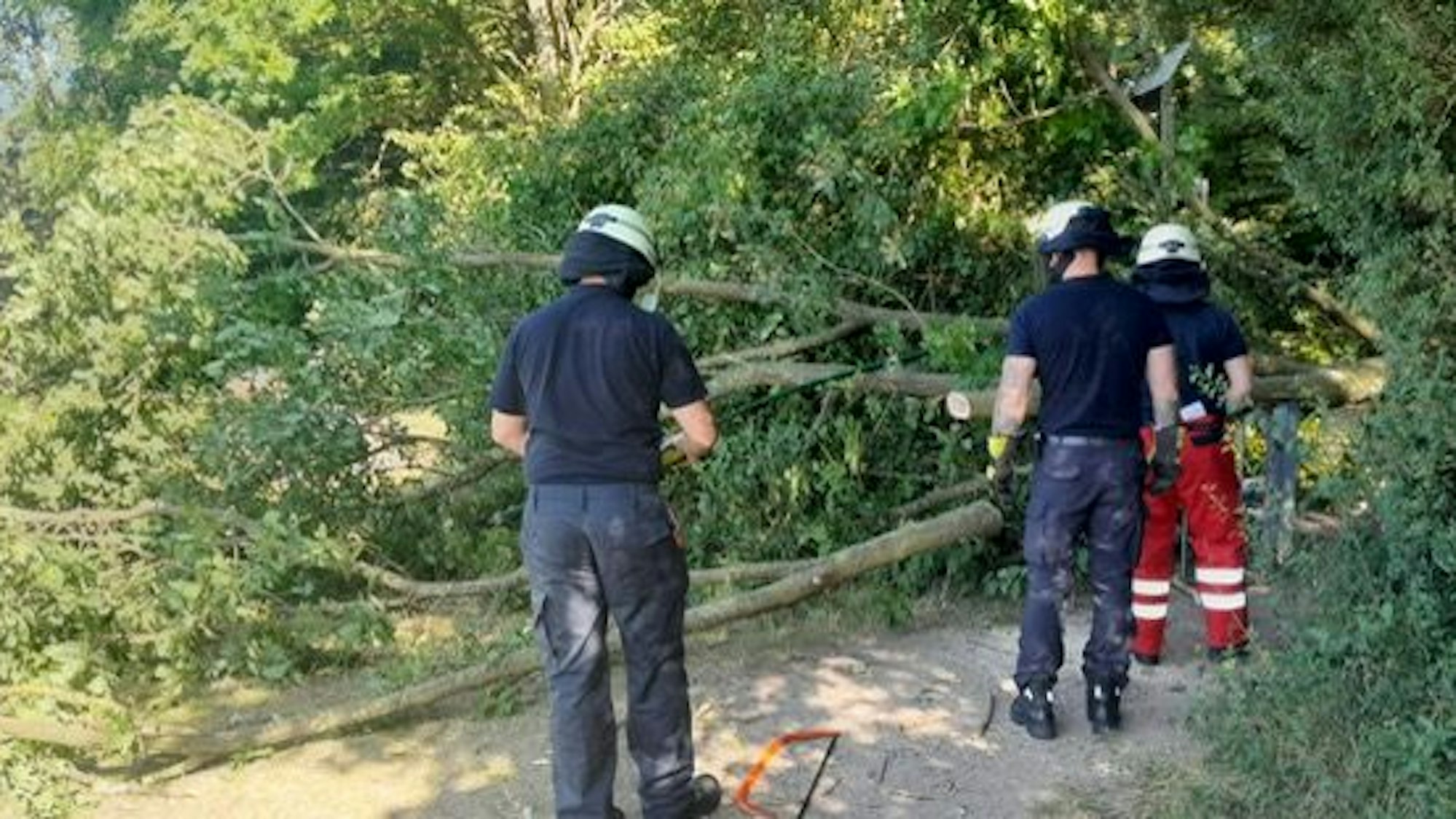 Einsatzkräfte der Feuerwehr zersägen den Baum, der quer über dem Weg liegt.