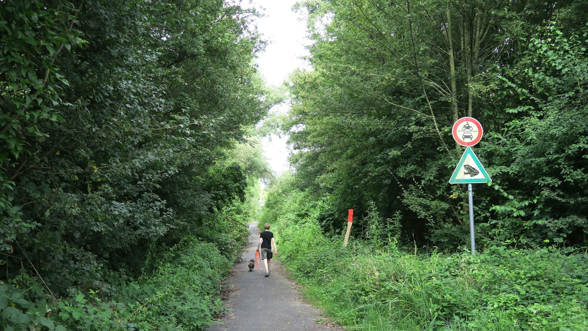 Kein Ausblick auf den See: Ein „legaler“ Weg an der Baadenberger Senke mit Verbotsschildern.