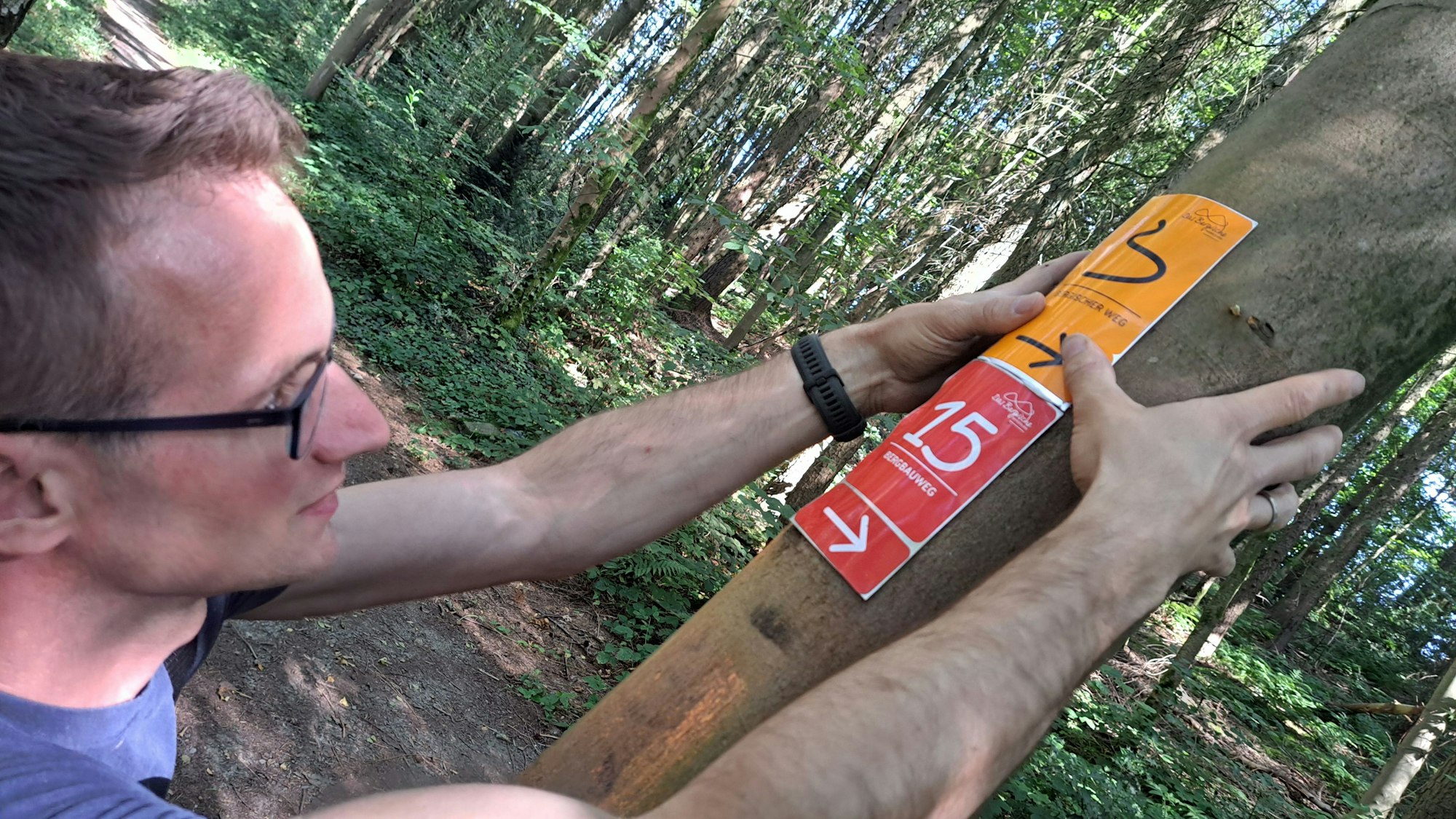 Wegepate Timo Steinklebt eine Wegemarkierung an einen Baum.