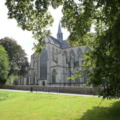 Der Altenberger Dom inmitten der umgebenden Parklandschaft. Blick auf die Nordseite.