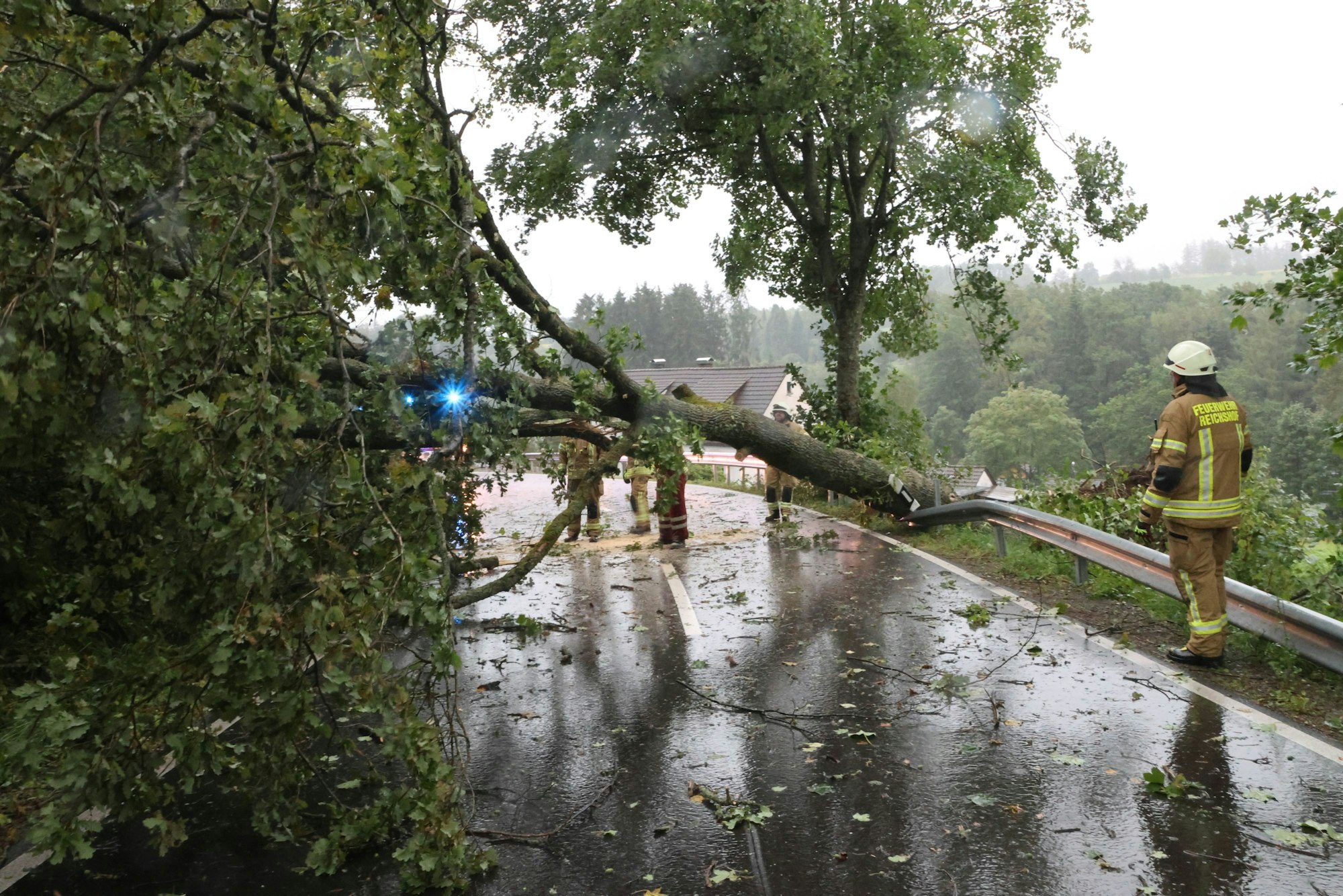 In Wildbergerhütte holt die Feuerwehr einen Baum von der Straße.