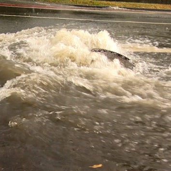 Auf dem Foto ist zu sehen, wie ein Gullideckel von den Wassermassen nach oben gedrückt wird.