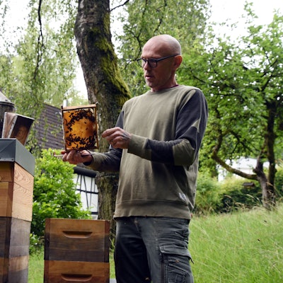 Matthew Jones an einem seiner Bienenstöcke.
