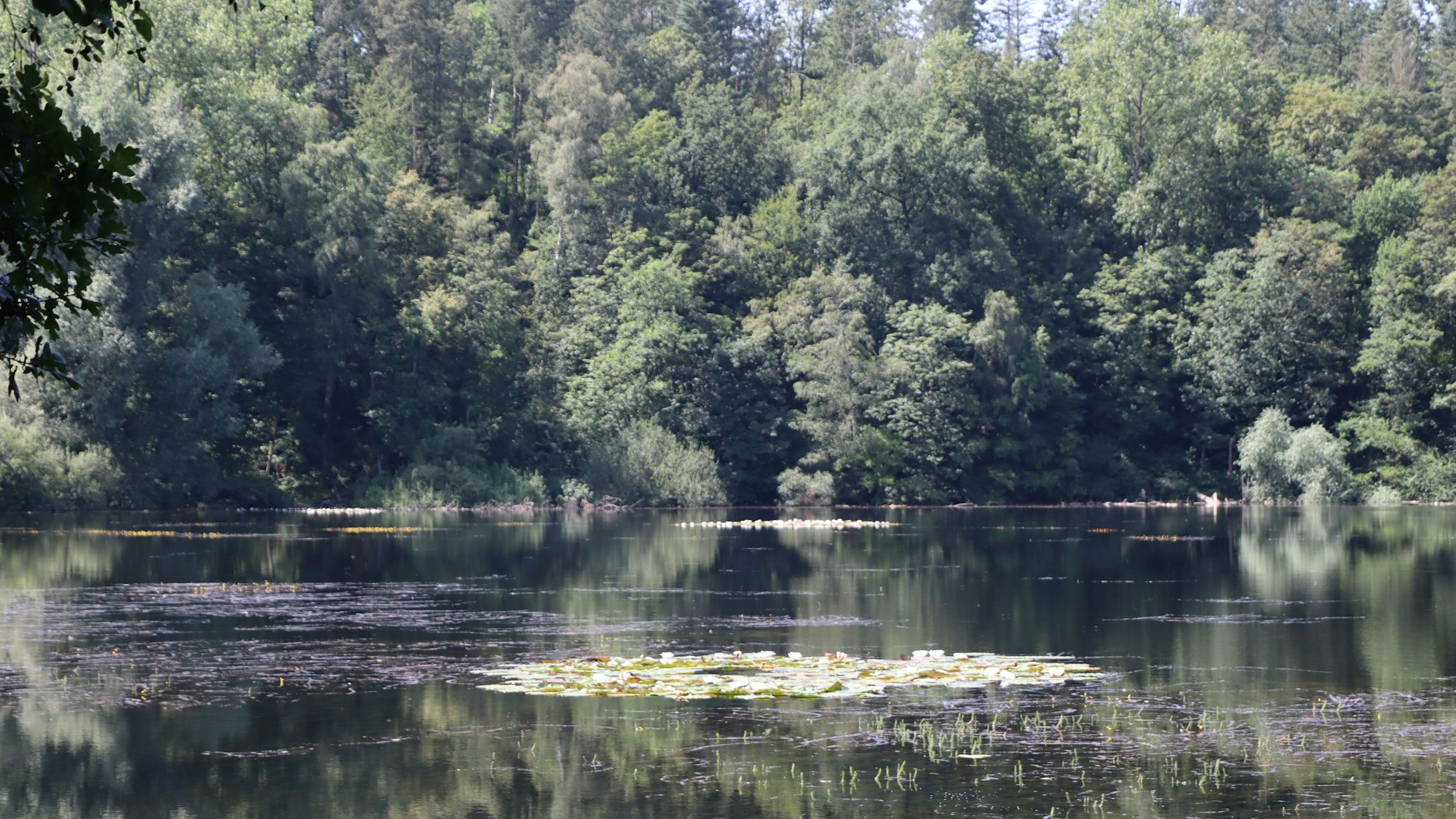 Das Bild zeigt das Villenhofer Maar.