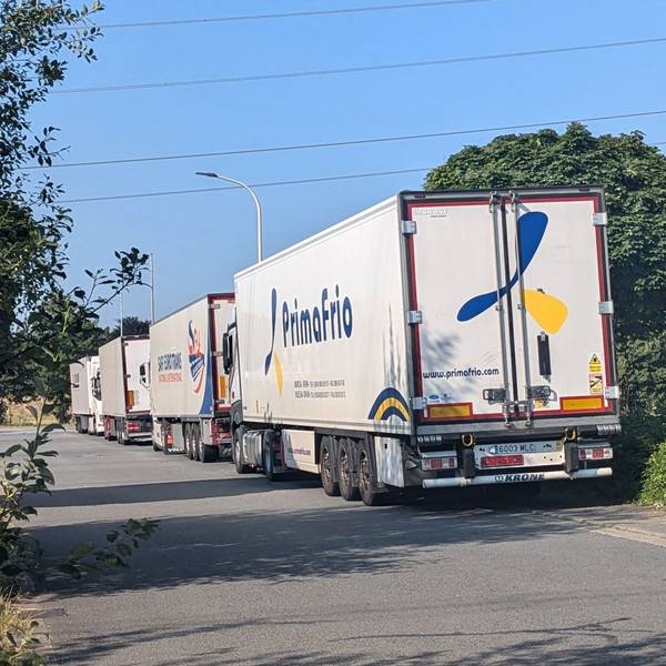Mehrere geparkte Lastwagen in der Johann--Phillip-Reis-Straße in Bornheim.