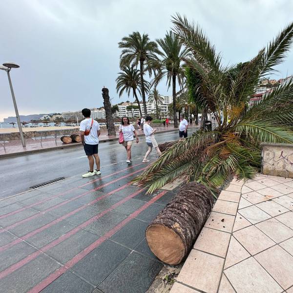 Sturmschäden am Strand von Santa Ponsa im Südwesten von Mallorca am Mittwoch (14. August)