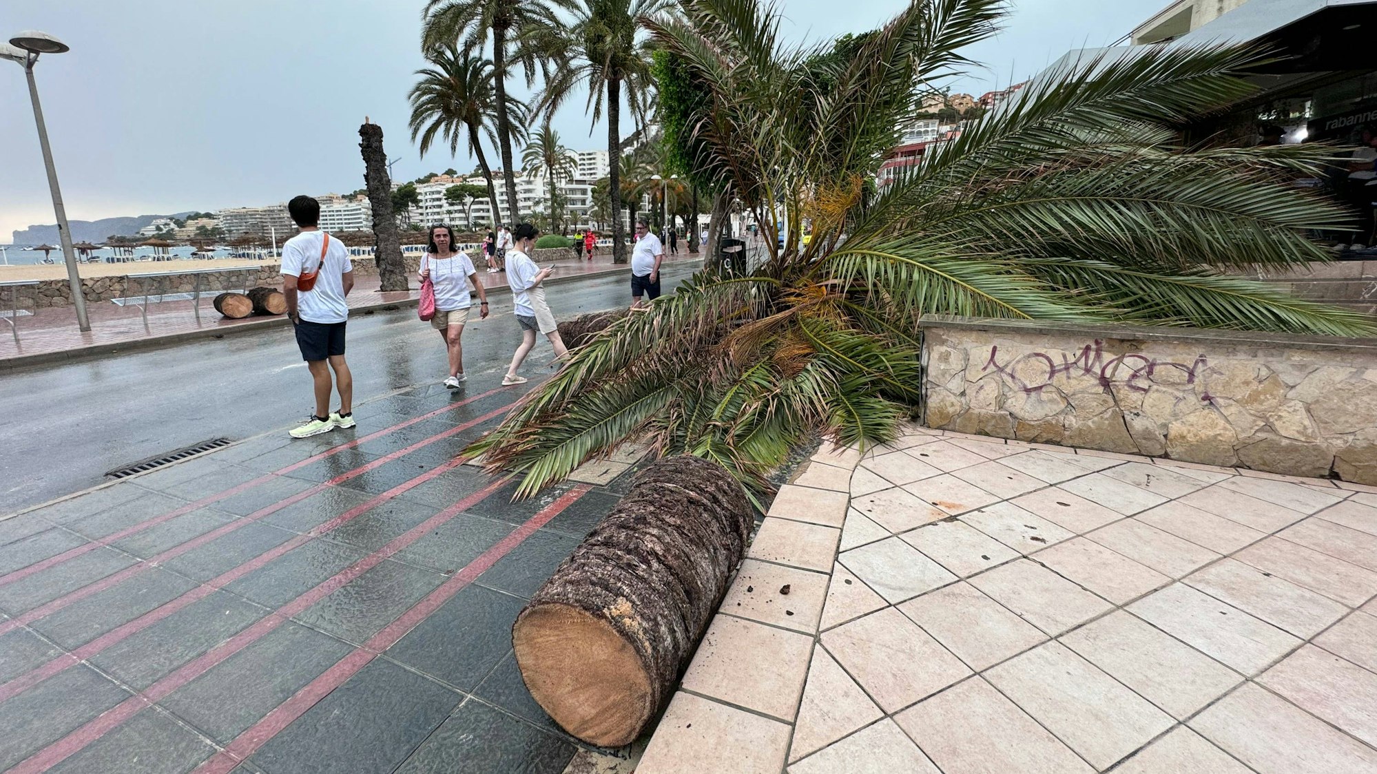 Sturmschäden am Strand von Santa Ponsa im Südwesten von Mallorca am Mittwoch (14. August)
