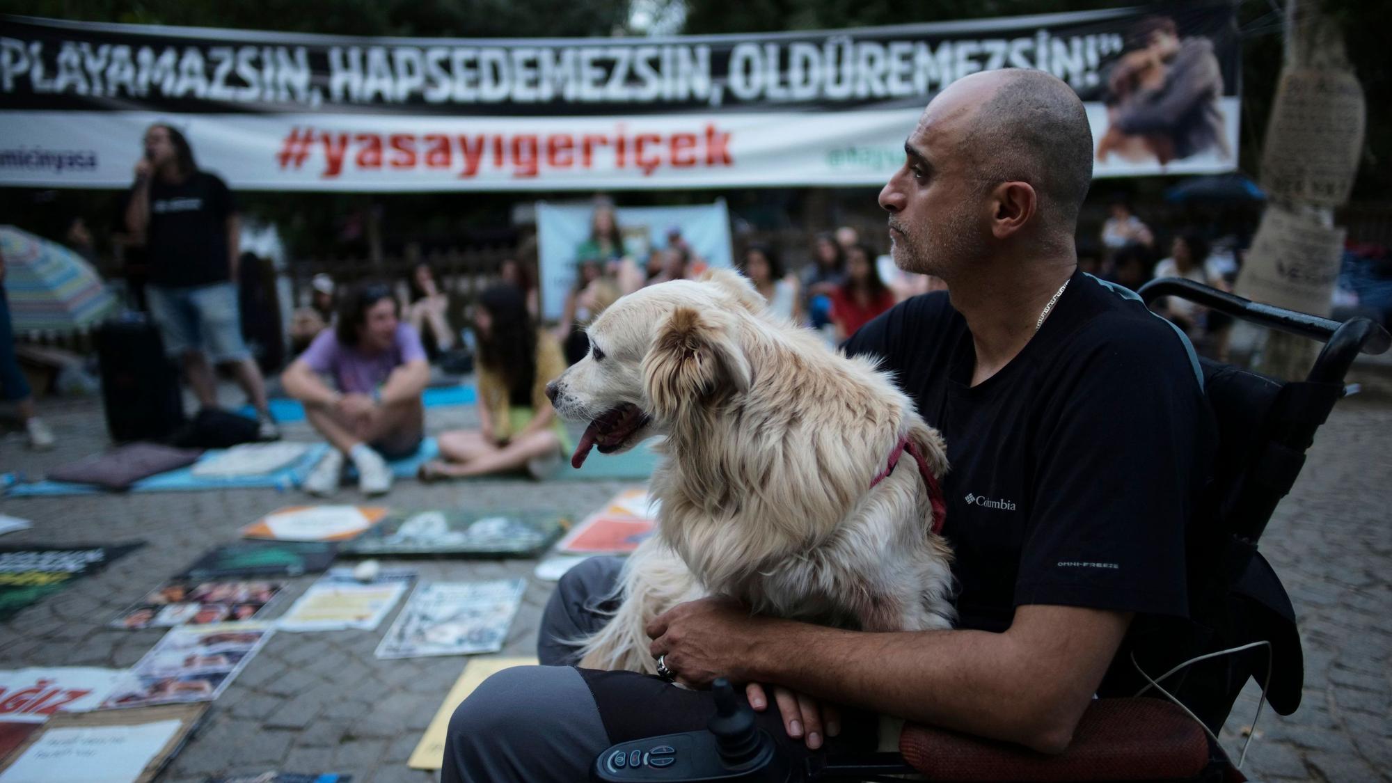 Die aktuelle Straßenhund-Debatte löste in der Türkei eine Reihe von Protesten aus. dpa/AP