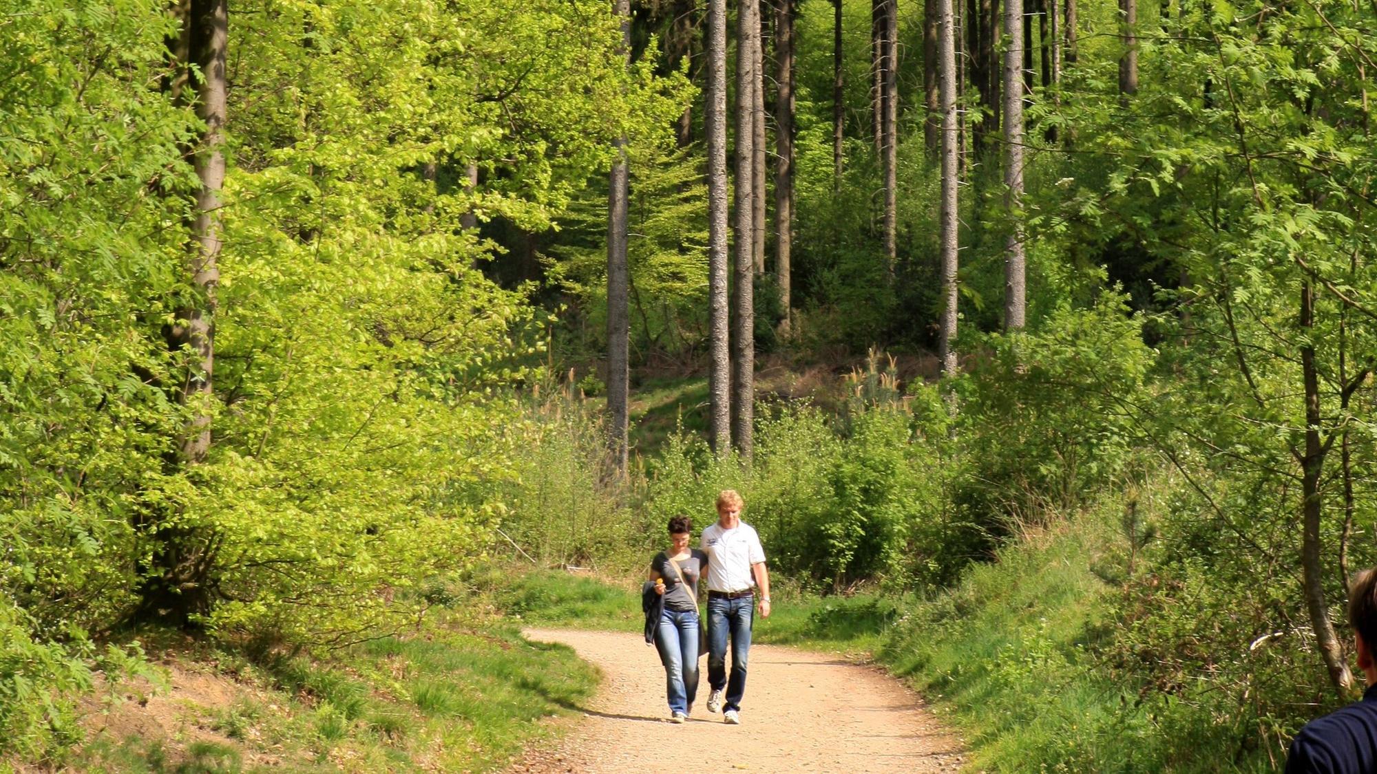 Zu sehen sind zwei Spaziergänger im Lerbacher Wald.