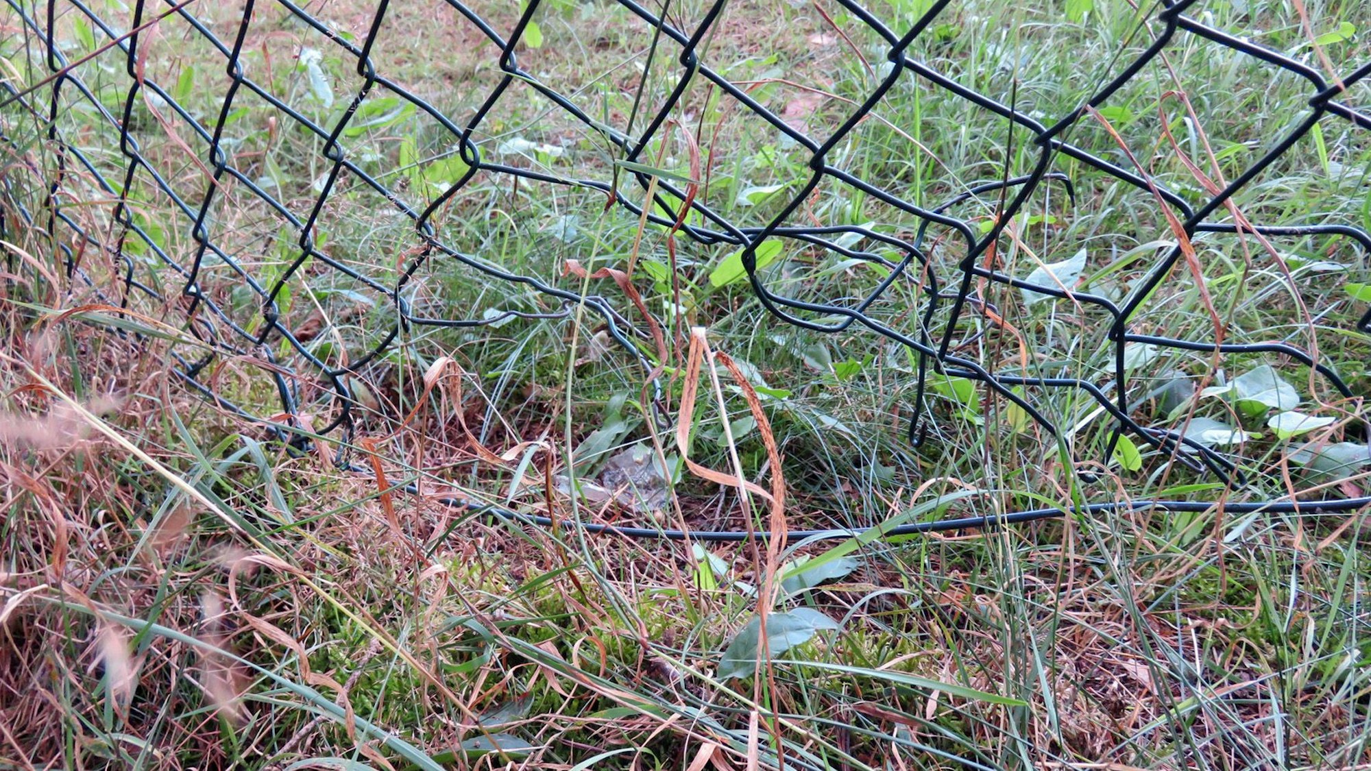 Ein Foto der Polizei Euskirchen zeigt einen im unteren Bereich beschädigten Maschendrahtzaun auf einer Wiese.