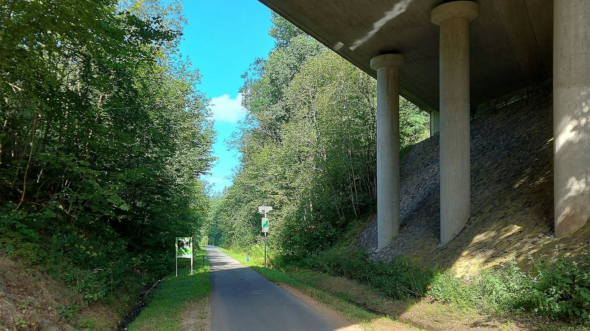 Ein Weg, der von Bäumen gesäumt wird, führt unter eine Brücke entlang.