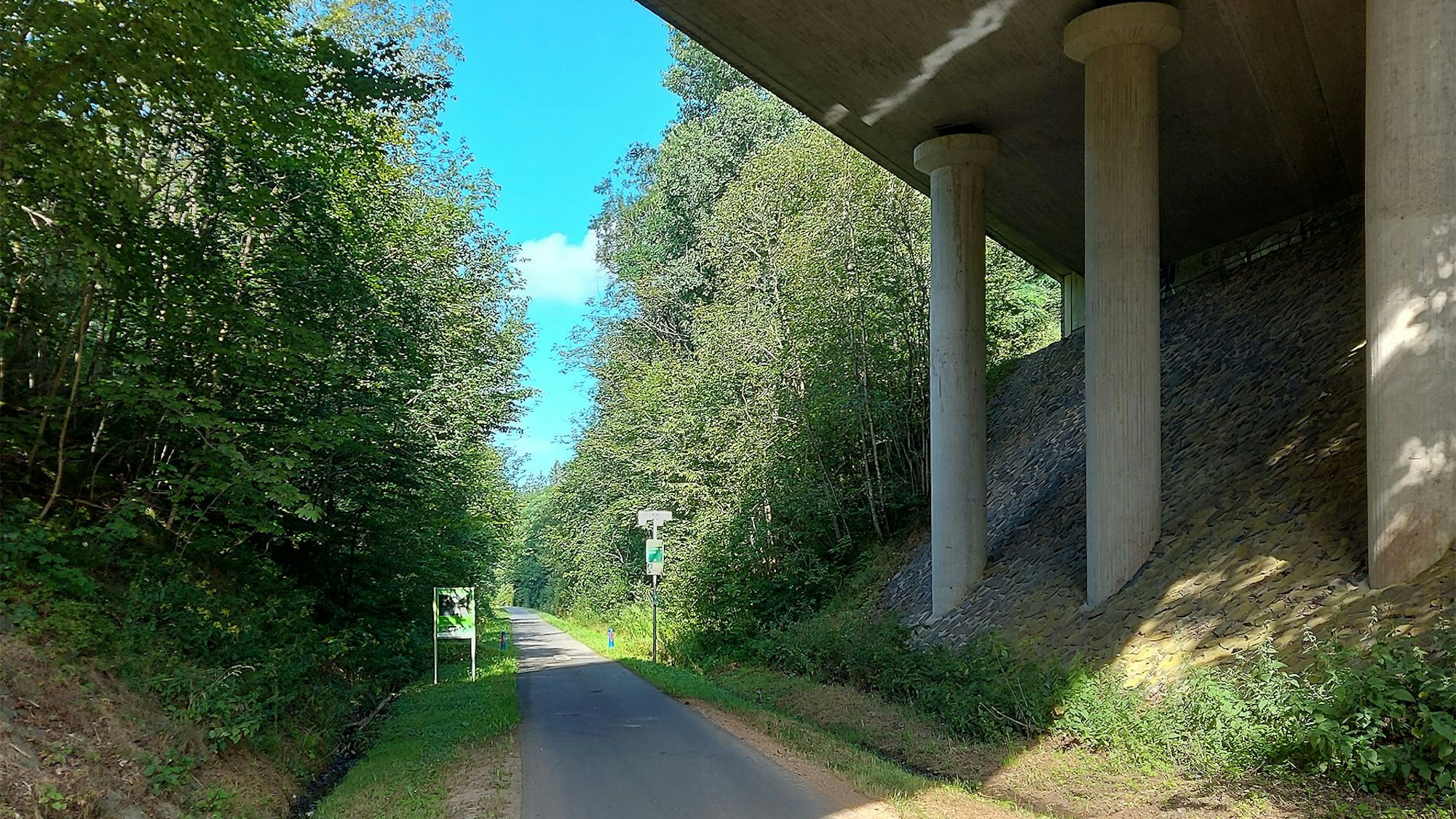 Ein Weg, der von Bäumen gesäumt wird, führt unter eine Brücke entlang.