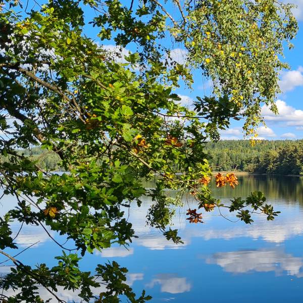 Brearedssjön in Halland