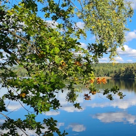 Brearedssjön in Halland