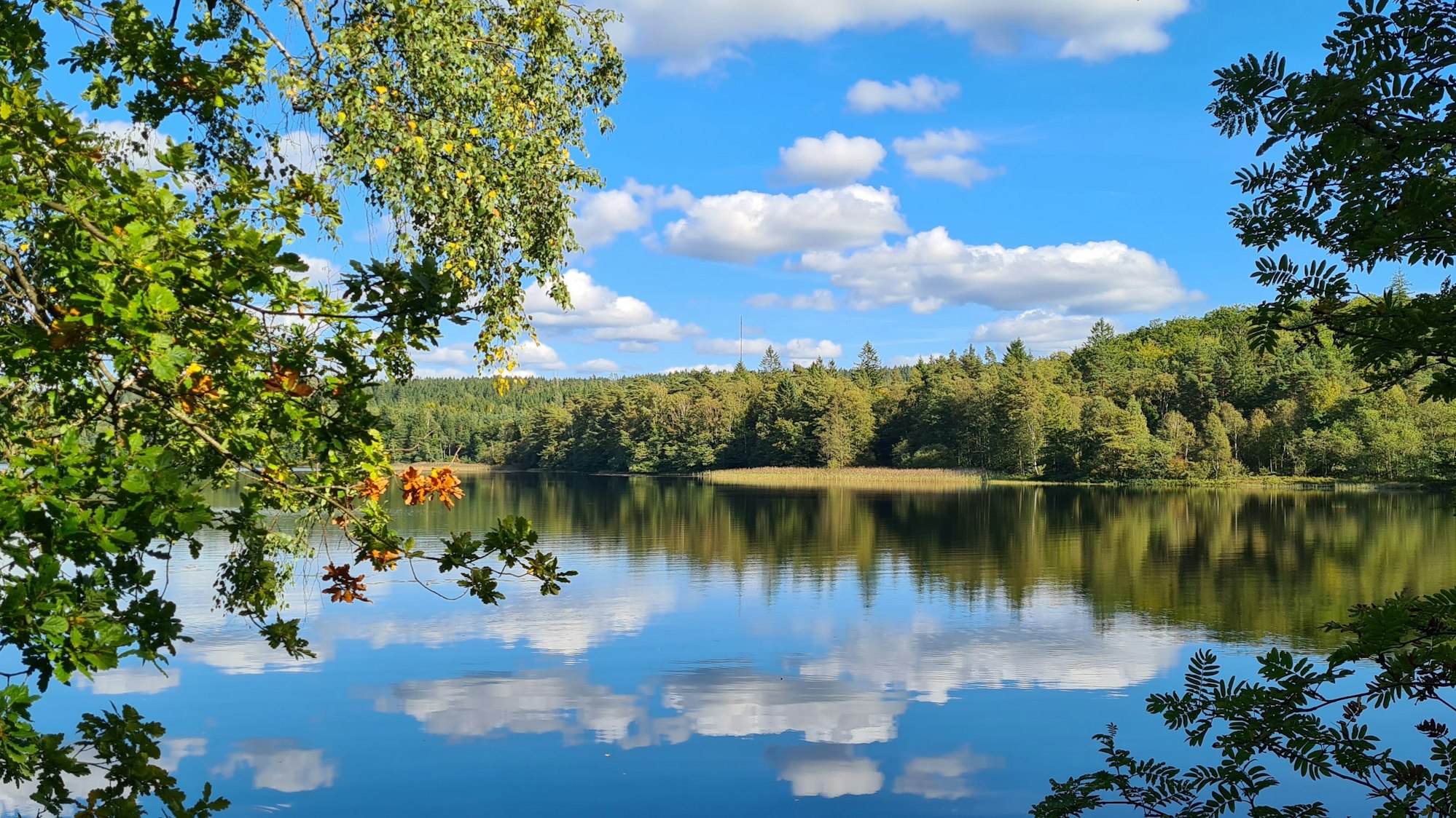 Brearedssjön in Halland