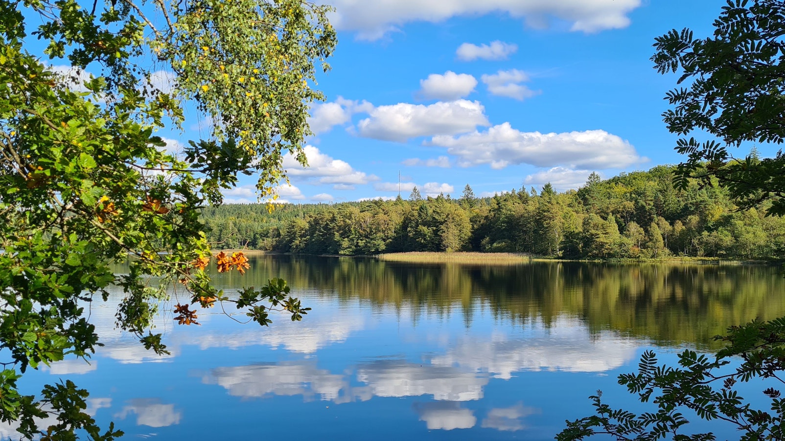 Brearedssjön in Halland