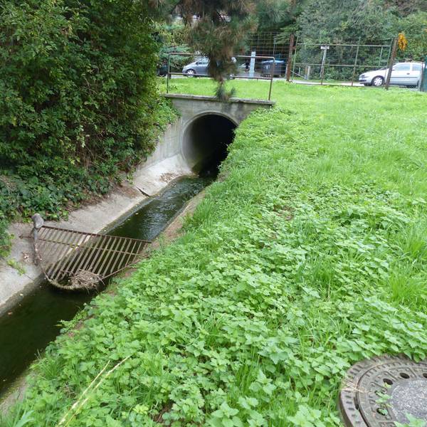 Ein Bach, in einer Betonsohlschale,