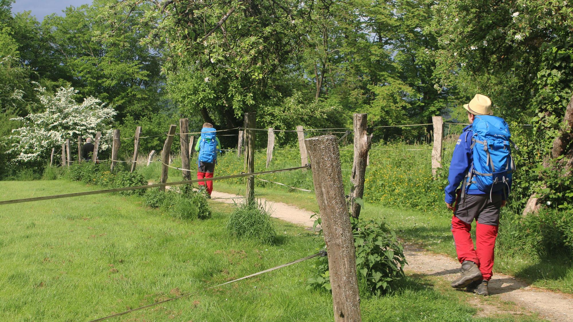 Zwei Kinder wandern mit Rucksäcken zwischen Weiden und Obstbäumen hindurch auf dem Plateau der früheren Altstadt von Stadt Blankenberg.