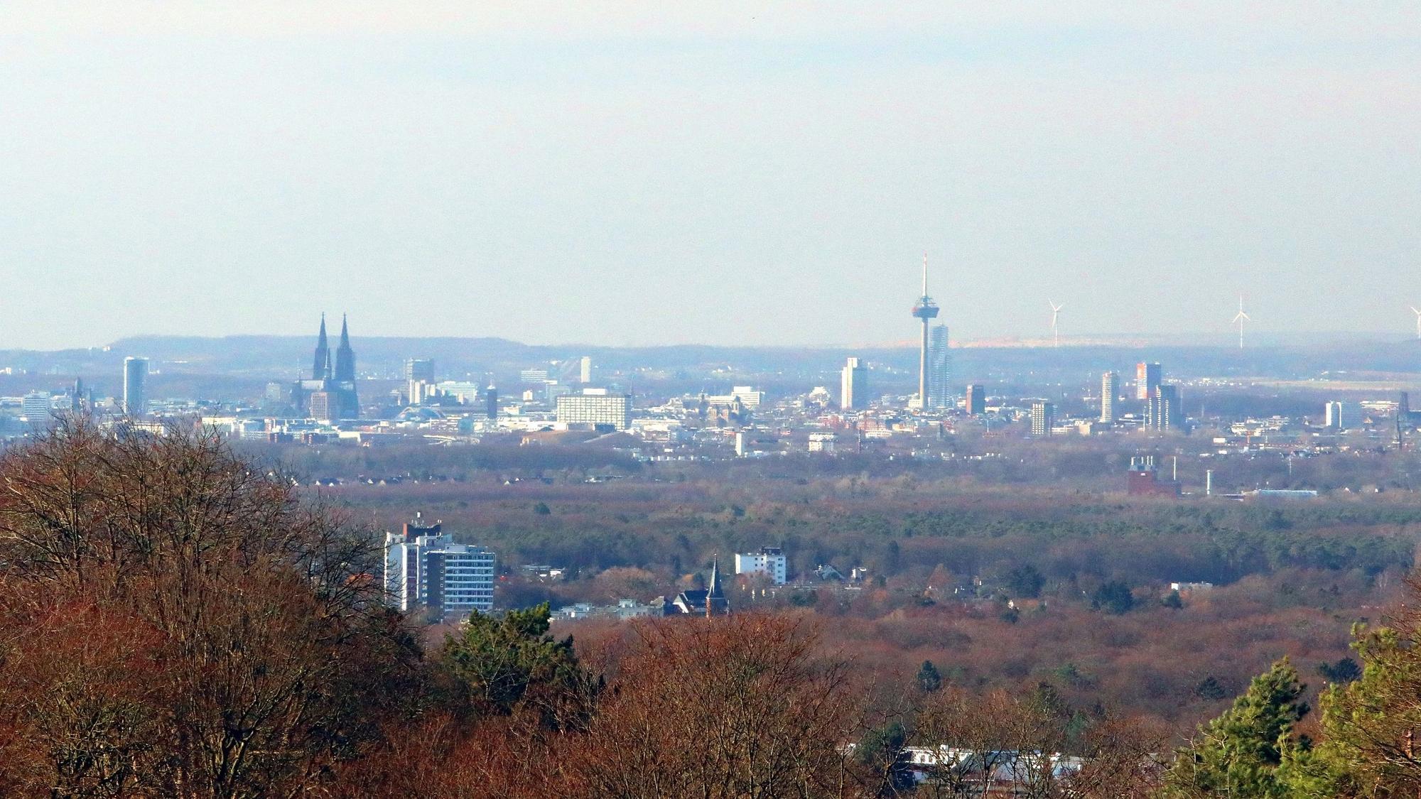 Ausblick zum Abschluss vom Bensberger Stadtgarten über die Kölner Bucht.