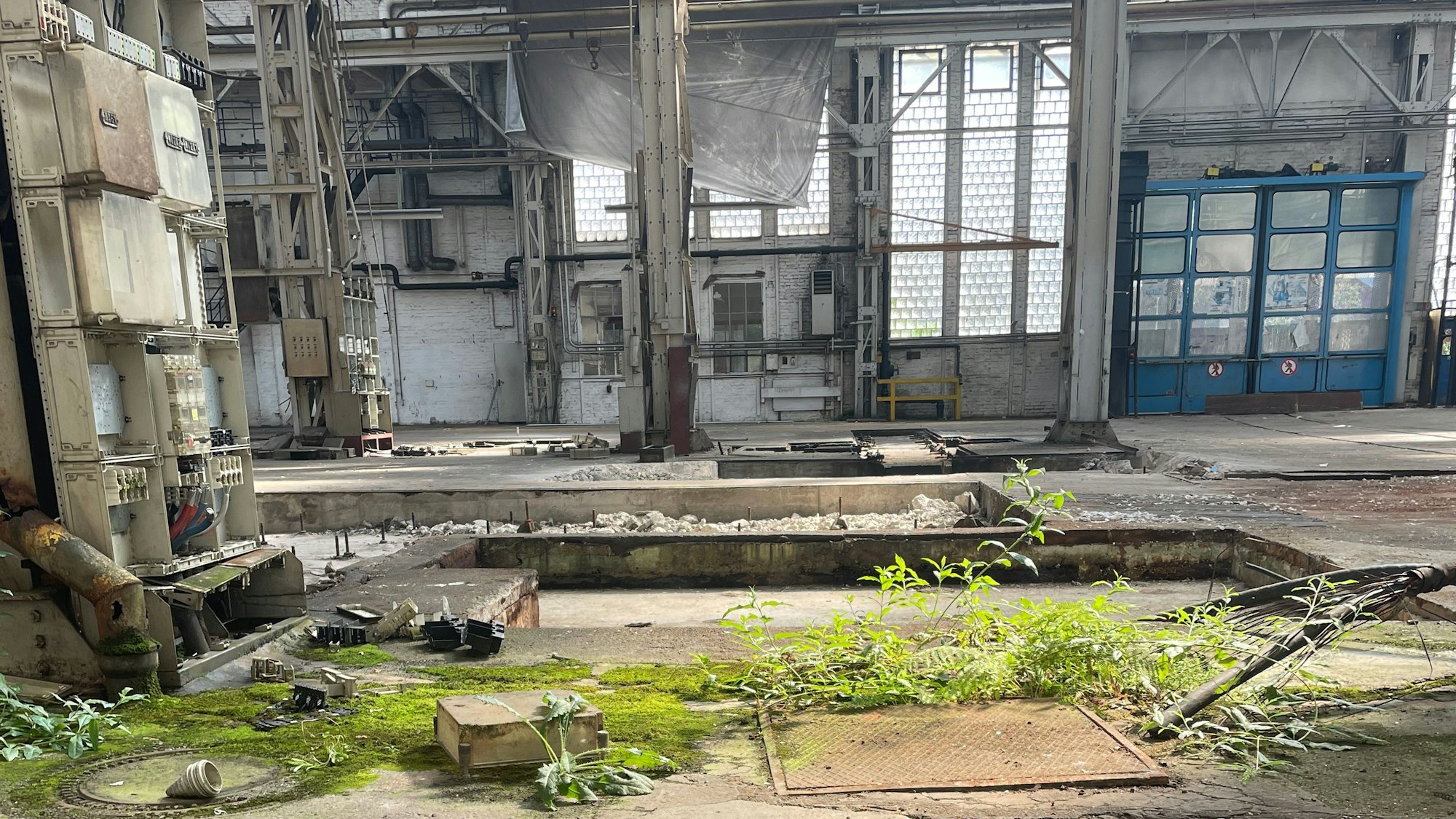 An manchen Stellen dringt Wasser ein, dort wachsen Moos und Farne.