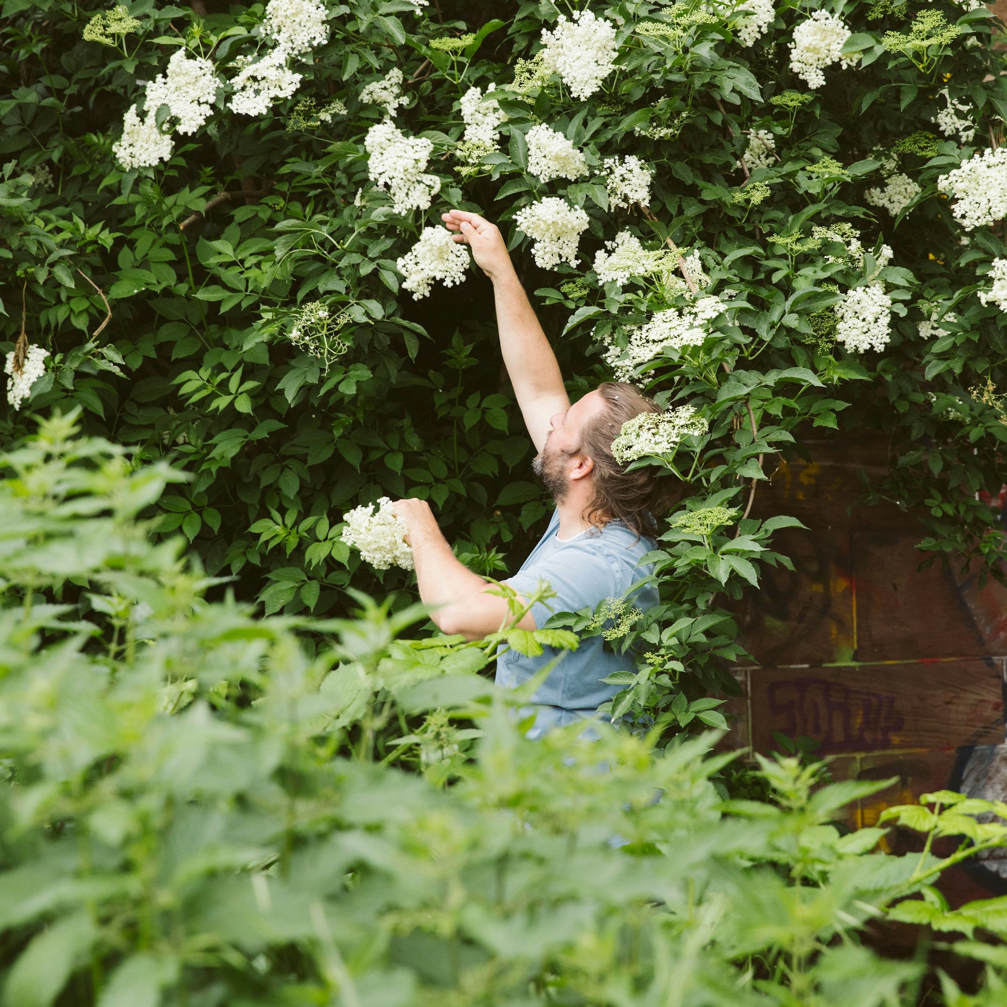 Sternekoch Tobias Becker bei einer Sammelaktion.