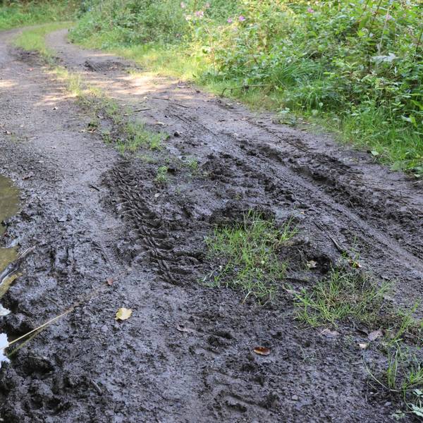 Zwischen Waldbröl-Dickhausen und Reichshof-Eiershagen befindet sich dieser stark beschädigte und sanierungsbedürftige Forstweg. Doch für eine Instandsetzung gibt es gerade kein Geld.