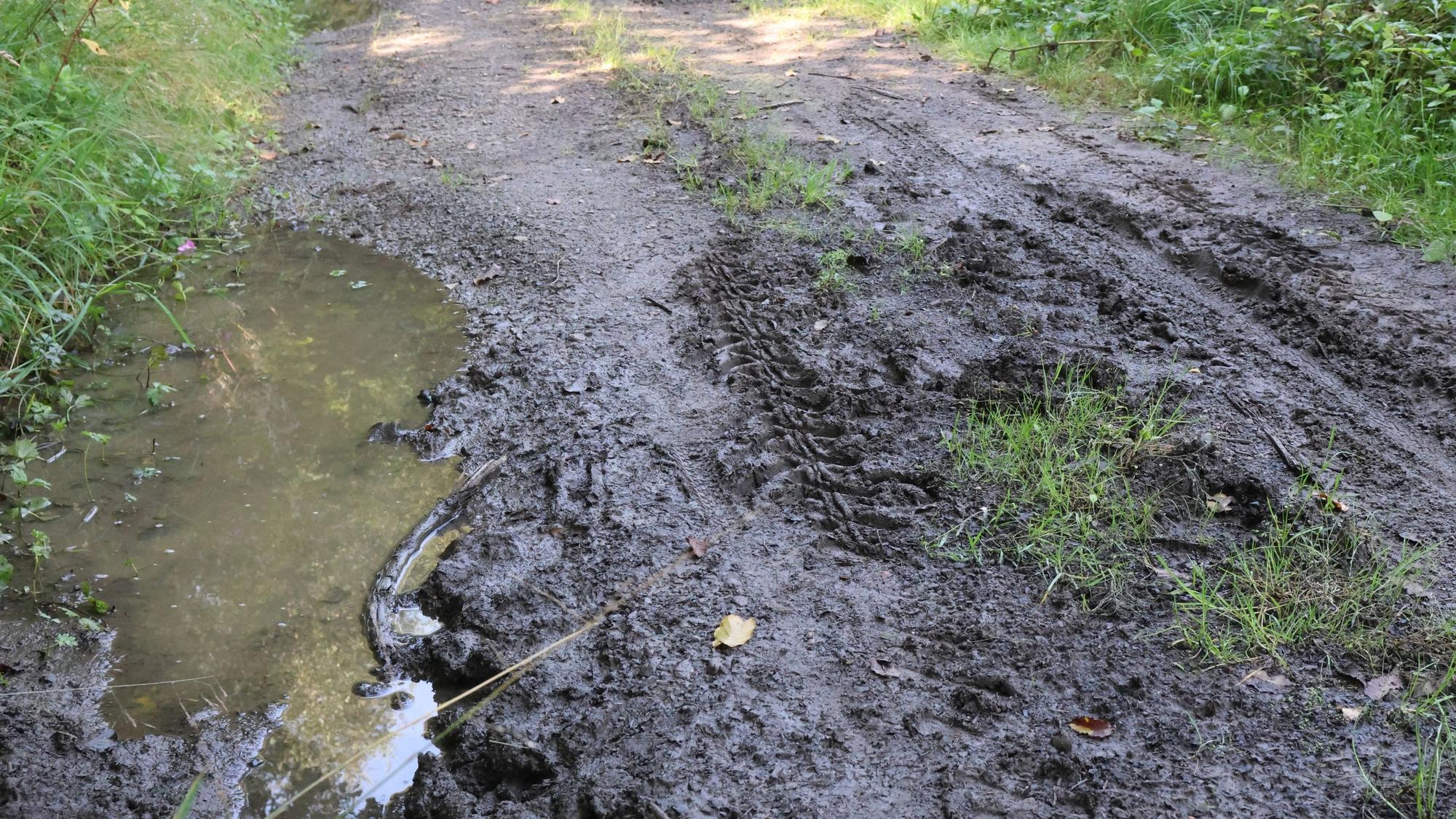 Zwischen Waldbröl-Dickhausen und Reichshof-Eiershagen befindet sich dieser stark beschädigte und sanierungsbedürftige Forstweg. Doch für eine Instandsetzung gibt es gerade kein Geld.