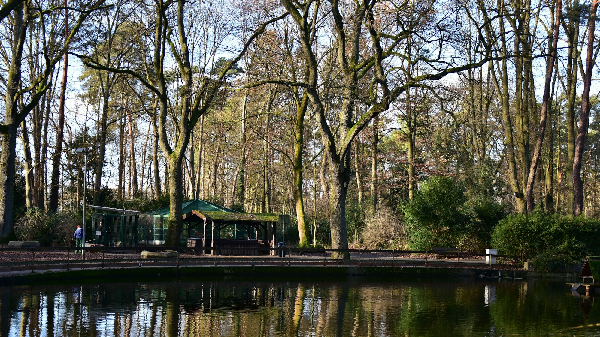 Bäume spiegeln sich in der Oberfläche eines Teichs.