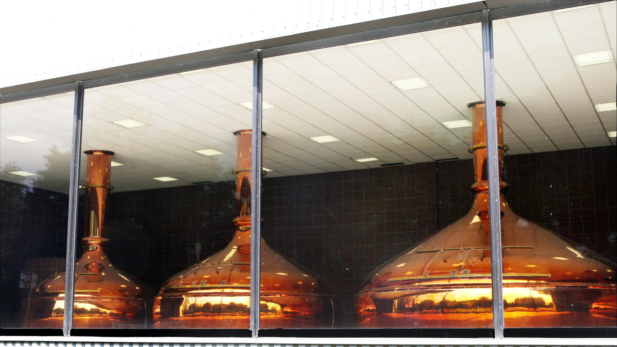 Durch eine Fensterscheibe einer Fabrikhalle sind die Sudkessel der Erzquell-Brauerei in Wiehl-Bielstein zu sehen.