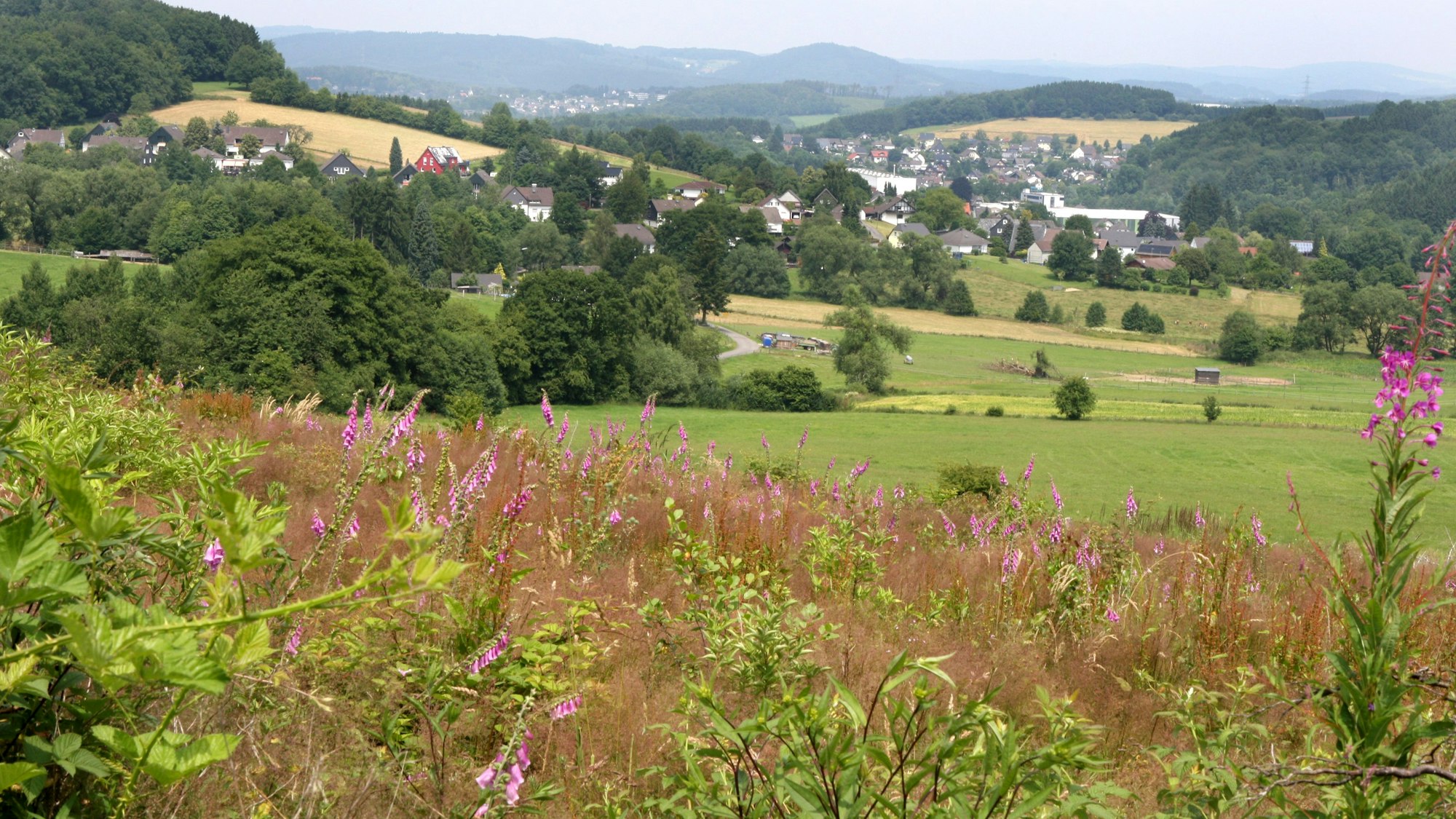 Über eine wilde Wiese ist die oberbergische Landschaft bei Wiehl-Bielstein zu sehen.