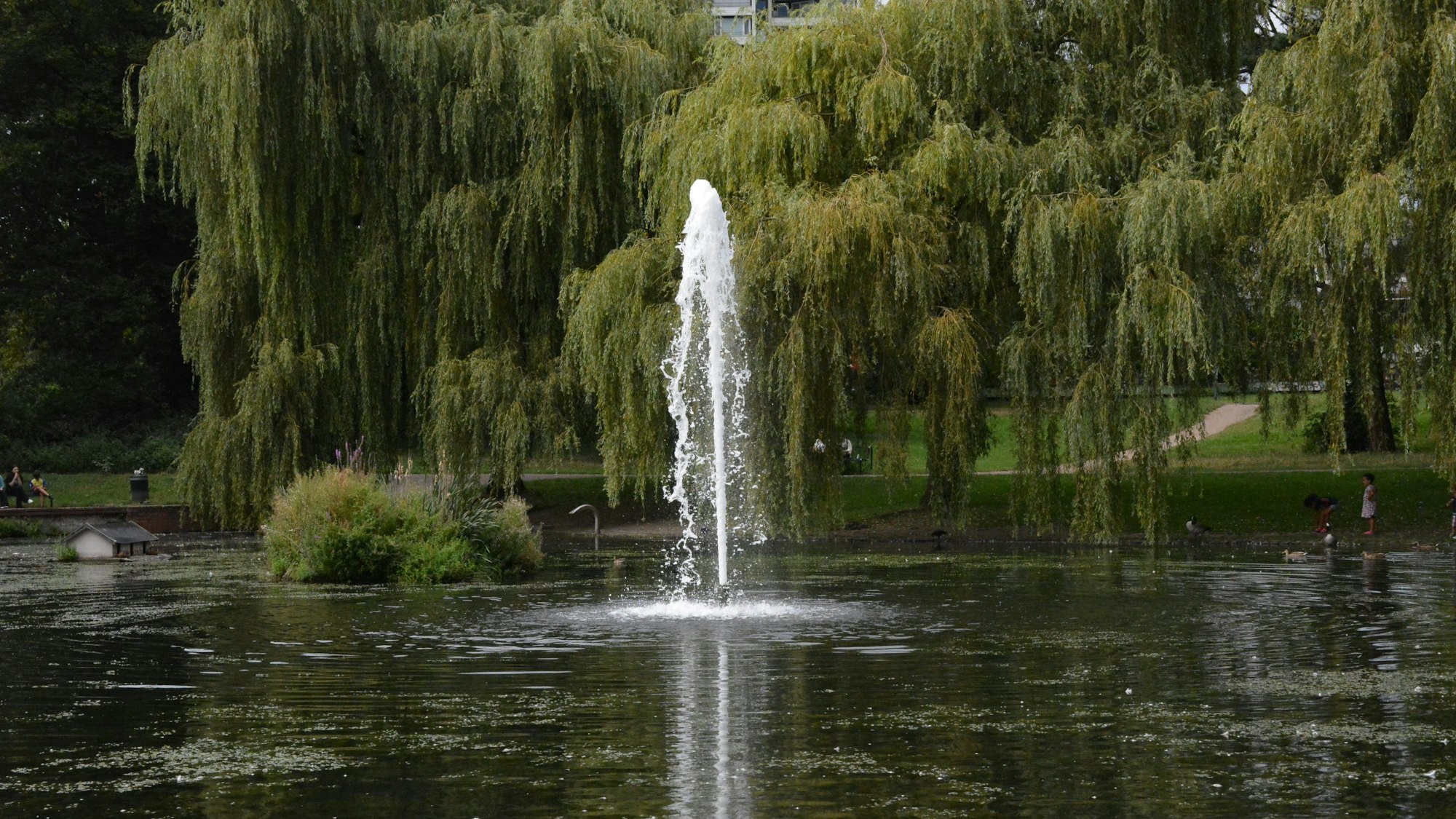 Eine Wasserfontäne im Mülheimer Stadtgarten.