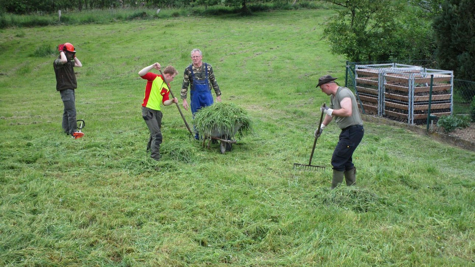 Männer harken gemähtes Gras zusammen.