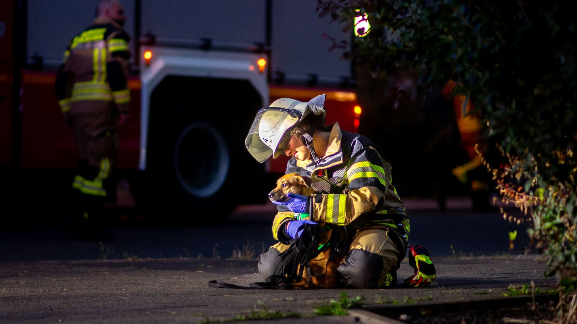 Das Bild zeigt die Feuerwehrfrau kniend auf dem Bürgersteig. In den Armen hält sie den Hund.